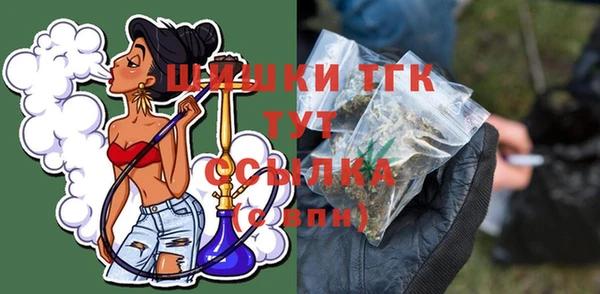 тгк Арсеньев