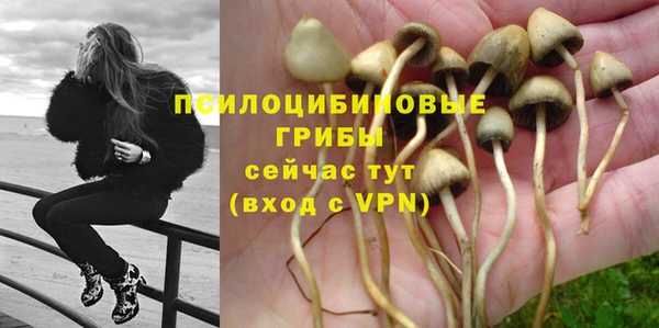 тгк Арсеньев