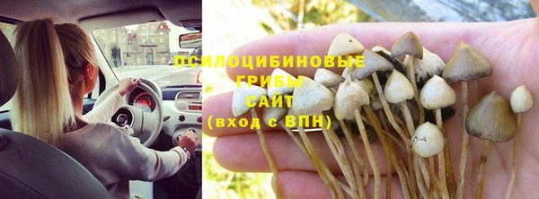 тгк Арсеньев