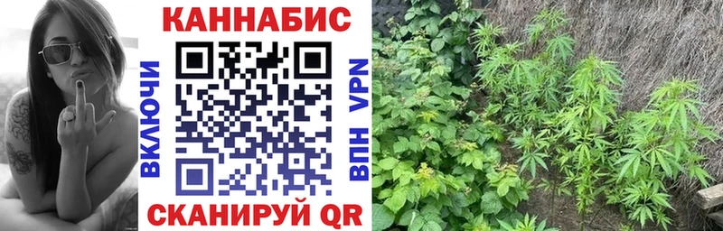 где можно купить Луза Бошки марихуана Amnesia